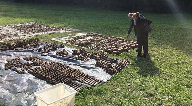 Bruna esih kosnica celje